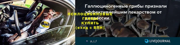 прущий лед Михайловск