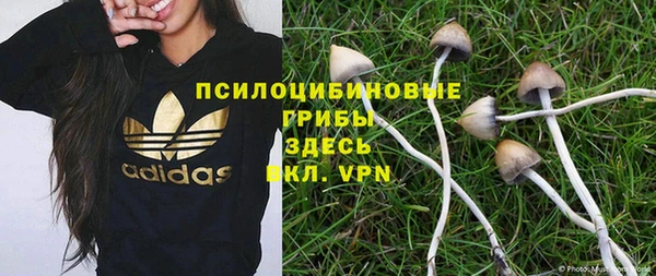 прущий лед Михайловск
