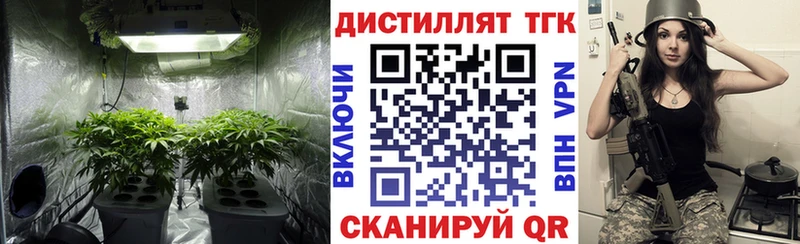 ТГК гашишное масло  Купить  Гудермес 